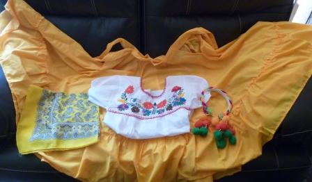 Guerrero "Las Amarillas"rfolkloric  costume